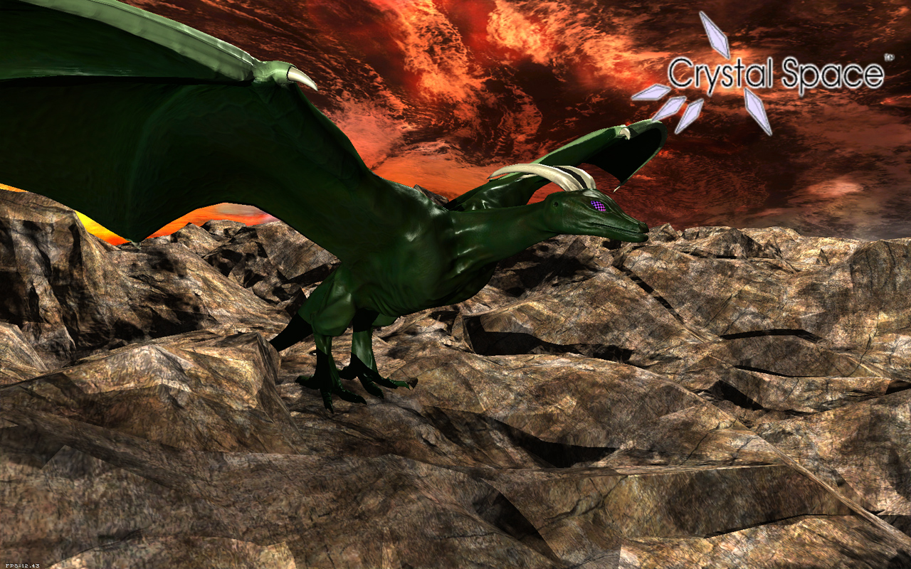 dragon02